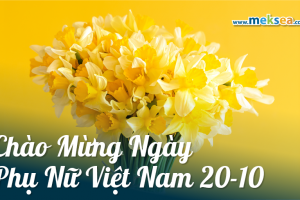 Happy VN Women's Day-anh bia
