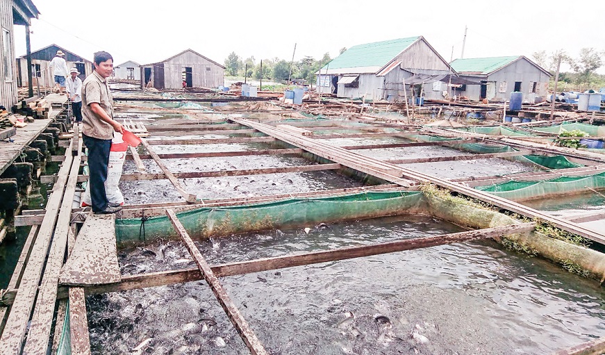 Việt Nam kế hoạch phát triển nuôi trồng thủy sản 990.000ha tại ĐBSCL