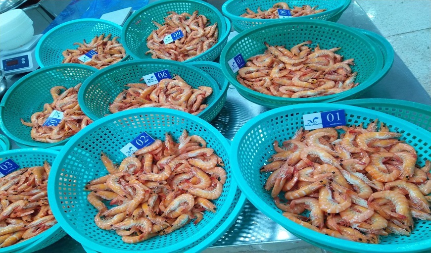 Seafood market warming gradually