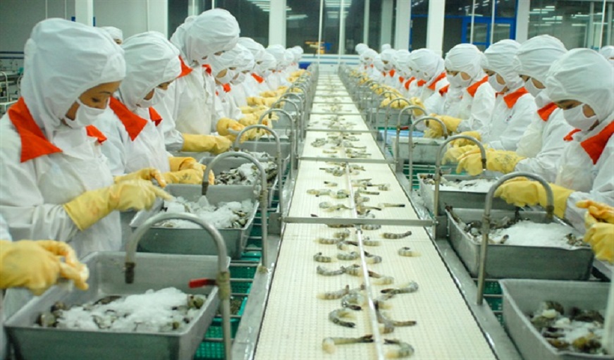 Warning of shrimp materials for export in the fourth quarter of this year 1