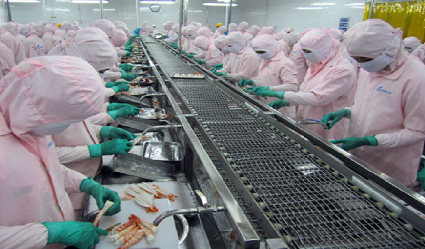 Warning of shrimp materials for export in the fourth quarter of this year 2