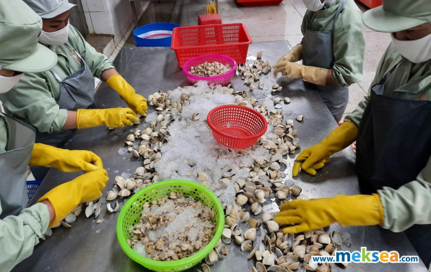 Vietnam clam exports in the first 8 months of 2021 increased by 54%