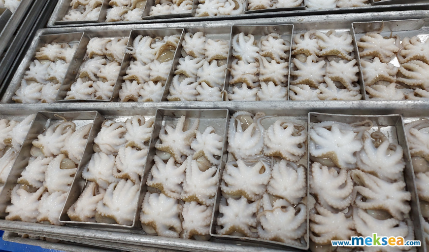 Vietnam's cephalopod exports to the EU increased by 39%