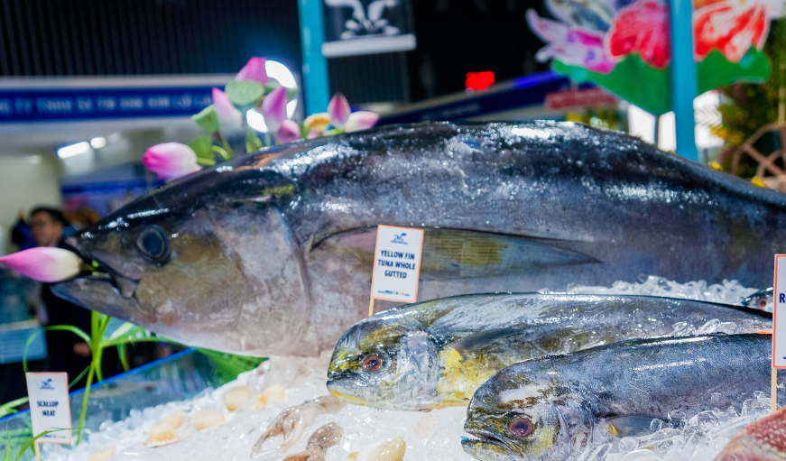 Vietnam’s tuna exports to the EU see strong surge thanks to EVFTA