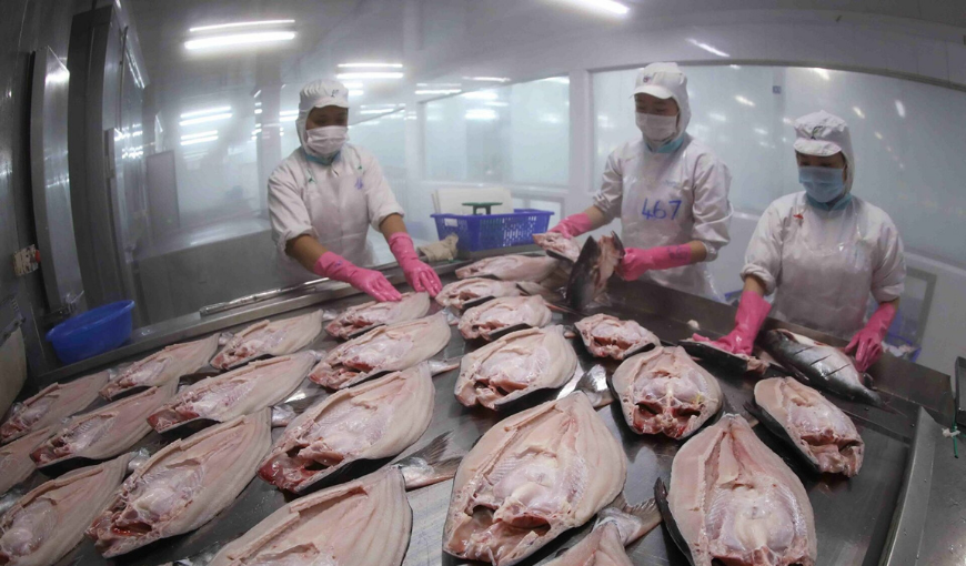 Vietnamese seafood enterprises boost production in the last months of the year