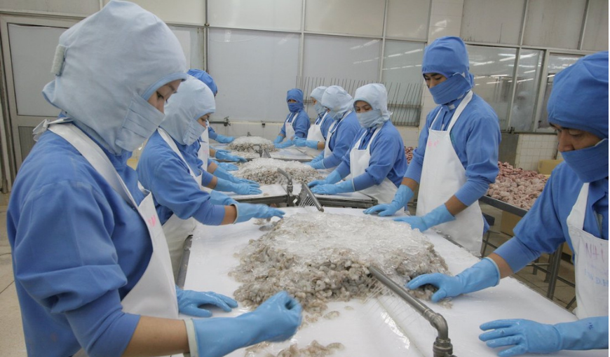 After decreasing in August, Vietnam's shrimp exports to the US in September 2021 recovered slightly, up 8% to $97.6 million. Accumulated in the first 9 months of the year, shrimp exports to the US reached over 775 million USD, up 22% over the same period.