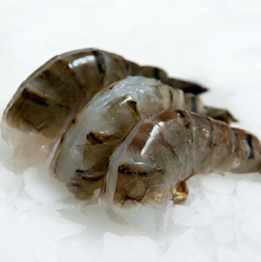 Easy-Peeled-Headless-Shell-On-Black-Tiger-Shrimp-2
