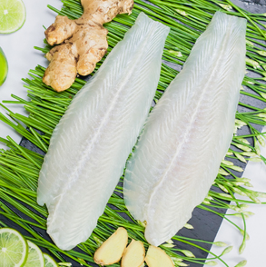 Pangasius-white-well-trimmed