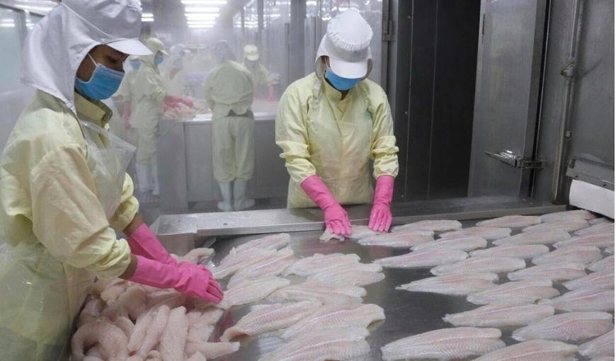  Vietnam's seafood exports to Philippines increase sharply in 2021