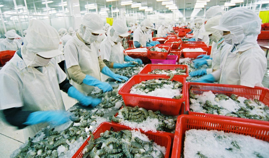 Top 5 largest seafood import markets from Vietnam 02