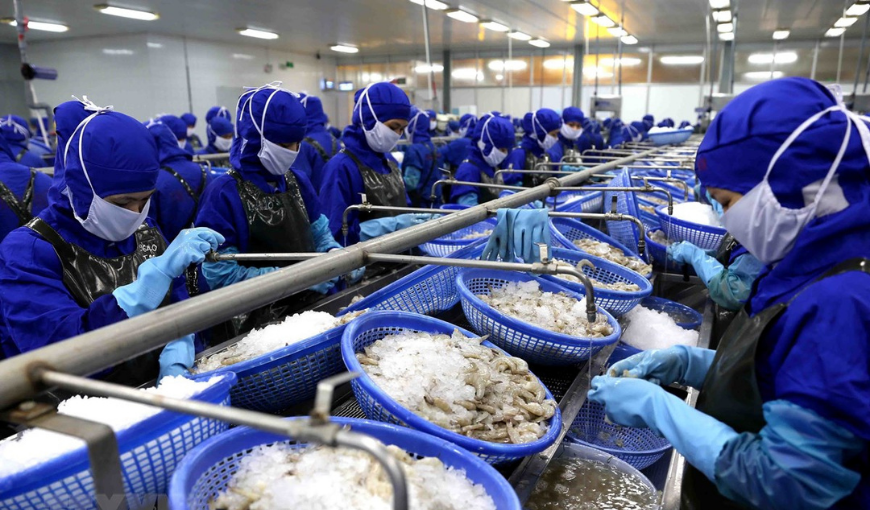 Top 5 largest shrimp import markets from Vietnam