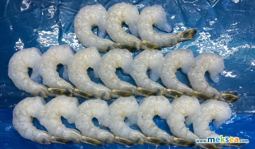 Top 5 largest shrimp import markets from Vietnam (2)