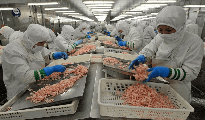 Seafood exports in 2021 reached over 8.9 billion USD (4)