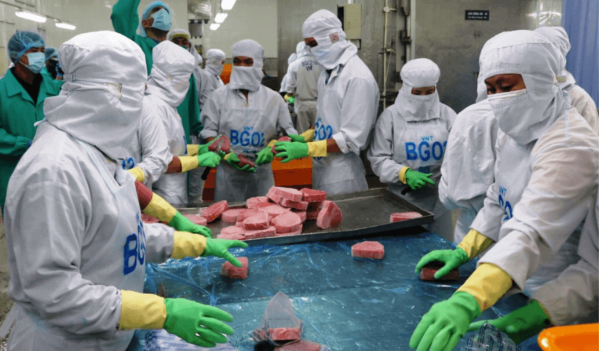 How much effort did Vietnam's tuna export industry make in 2021 01