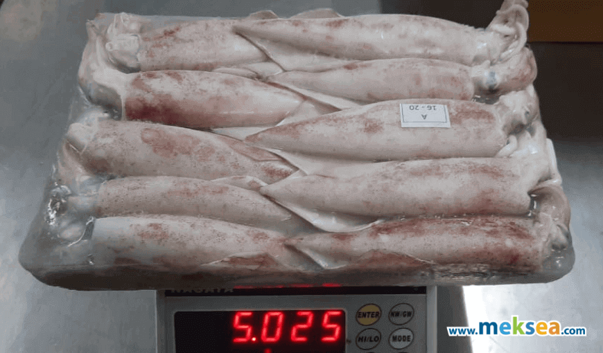 In January 2022, Vietnam’s squid and octopus exports increased sharply (2)
