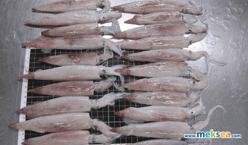 In January 2022, Vietnam’s squid and octopus exports increased sharply (2)