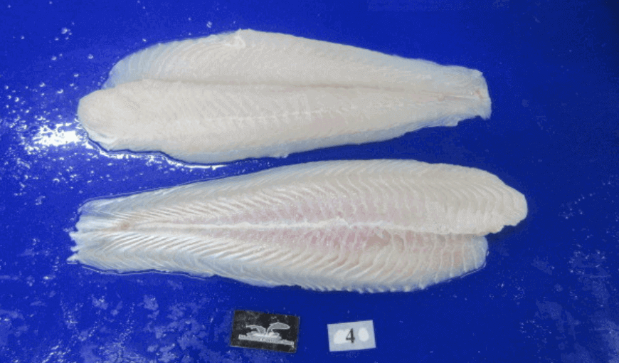 Top largest Vietnam's pangasius import markets in 2021 (2)