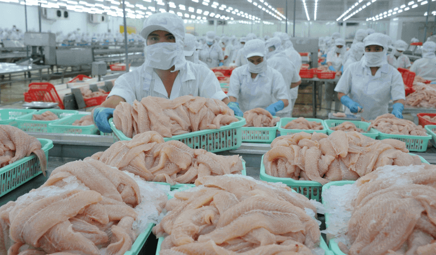 The US becomes the leading pangasius import market from Vietnam