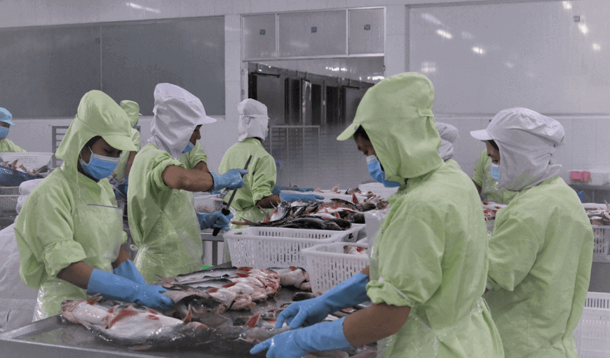 Top 4 leading pangasius imports market of Vietnam in the first 2 months of 2022