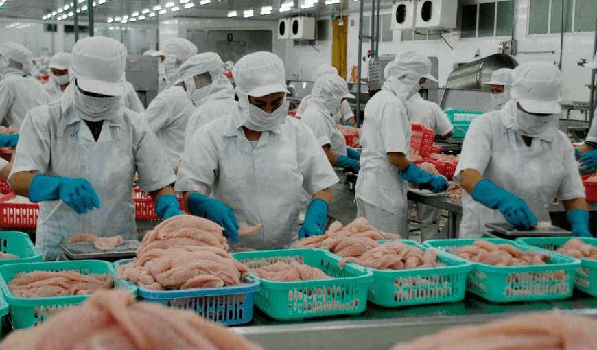 Top 4 leading pangasius imports market of Vietnam in the first 2 months of 2022