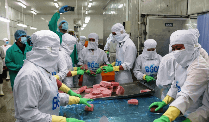 Vietnam's tuna exports to Peruvian market spike