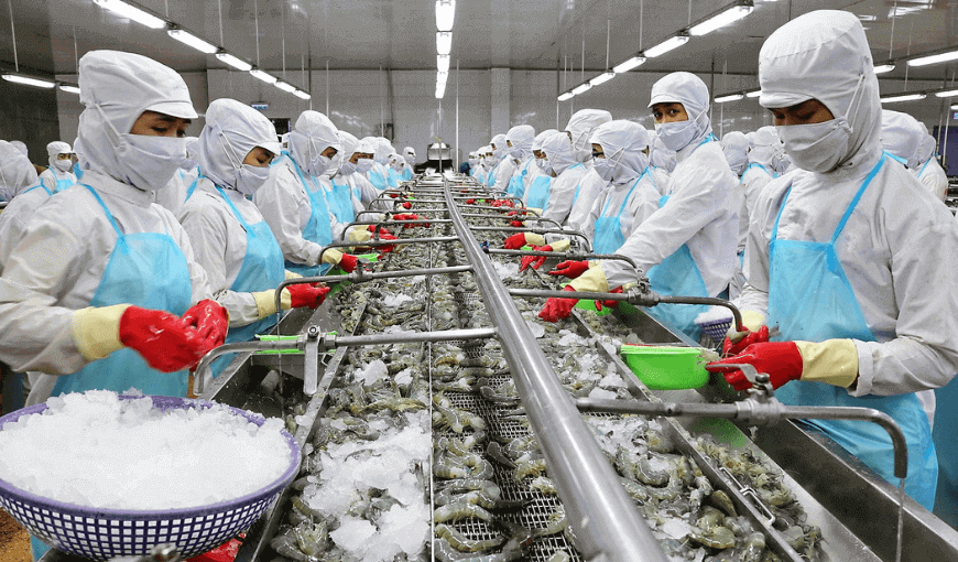 Vietnam’s seafood exports increased by 62% in February 01