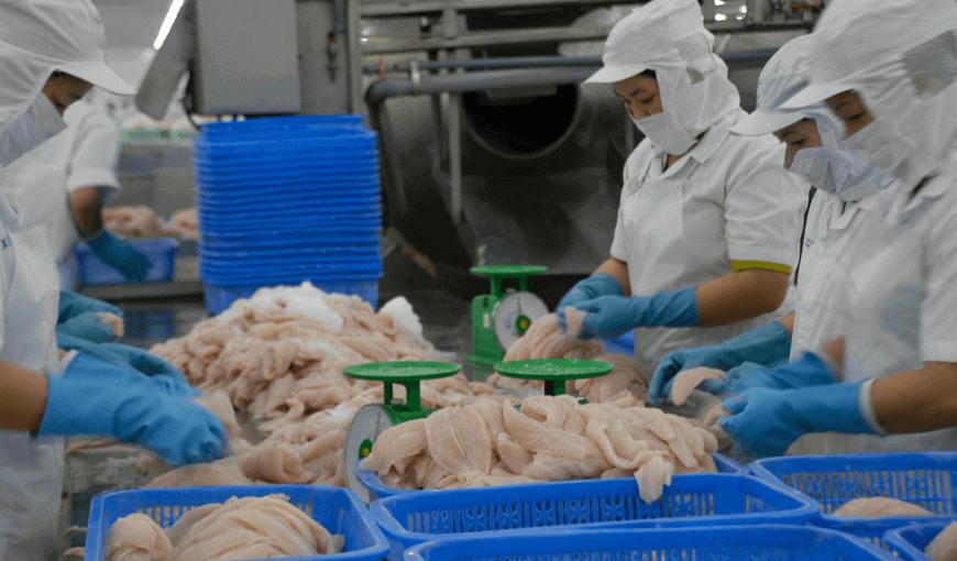 Good news for Vietnam’s shrimp and pangasius export in the first months of 2022
