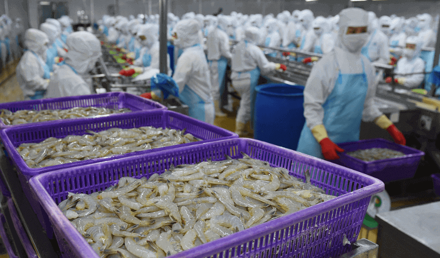 Vietnam's shrimp exports increased by 44% in the first quarter of 2022
