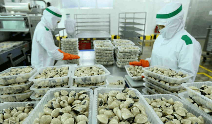 Vietnam’s bivalves exports in the first quarter reached over 30 million USD