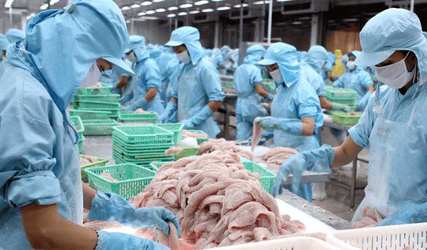 Thailand, Egypt, and Mexico become Vietnam’s pangasius target market (2)