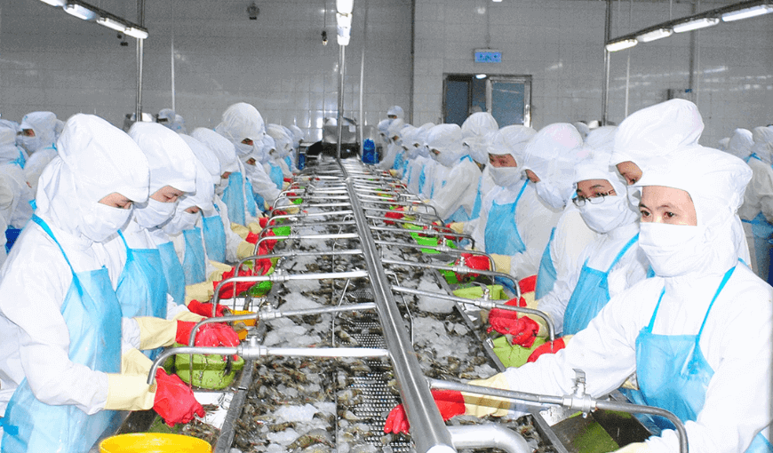 The Bright picture of Vietnam's shrimp exports to Australia