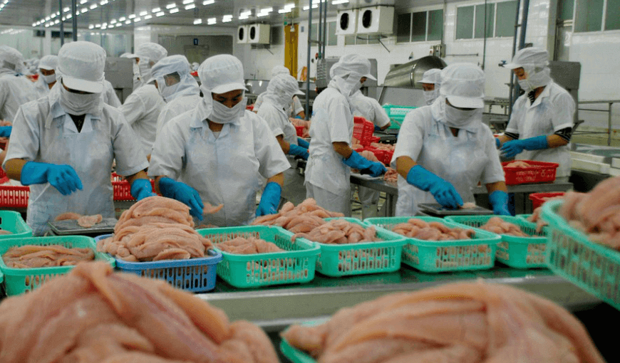 Vietnam pangasius exports to Canada increased by 69%