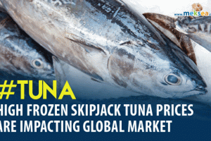 High frozen skipjack tuna prices are impacting global market