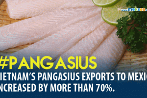 Vietnam’s pangasius exports to Mexico increased by more than 70%.