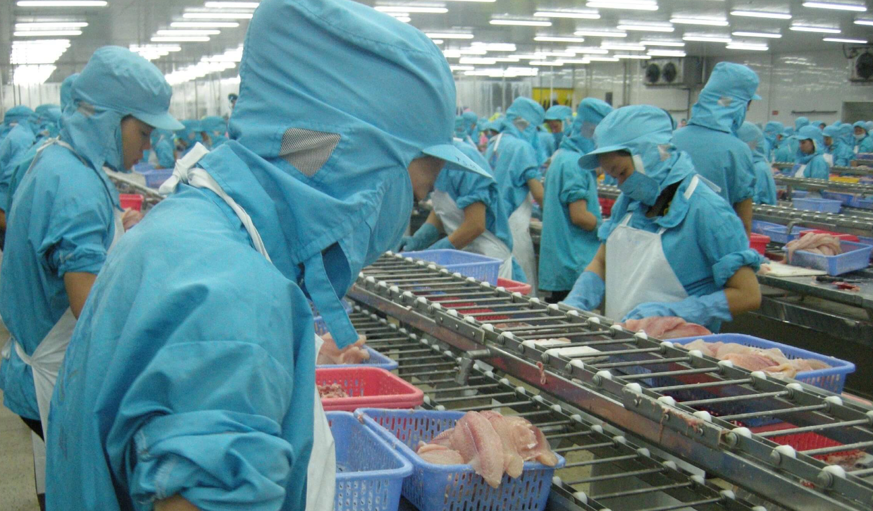 Vietnam’s pangasius exports surge in 3 major markets in the first half year-02