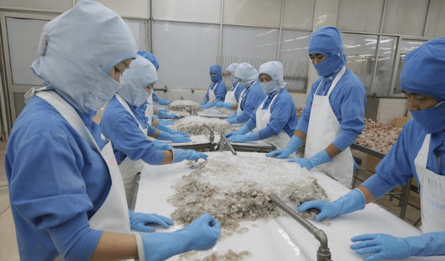 Vietnam’s seafood exports reached more than 1 billion USD in June 2022 (2)