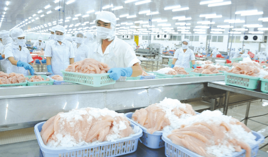 Vietnam exports over 90,000 tons of pangasius fillet to the US